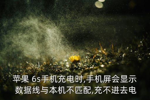 6s数据线电,苹果6s数据线