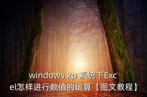 xp系统数据统计在哪里