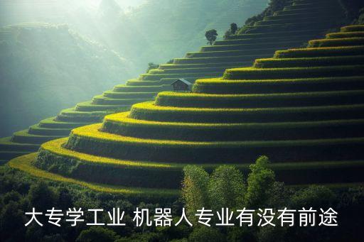 大专学工业 机器人专业有没有前途