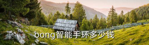 bong3 运动 自动