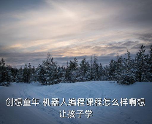 创想童年 机器人编程课程怎么样啊想让孩子学