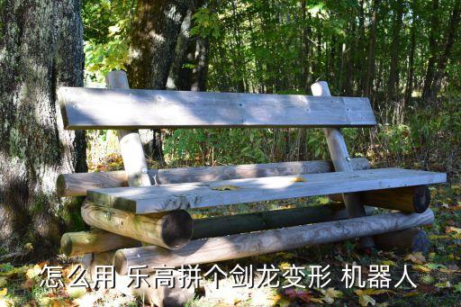 怎么用 乐高拼个剑龙变形 机器人