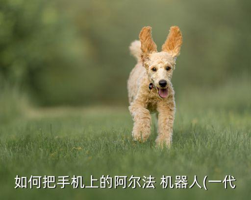 alpha机器人打开