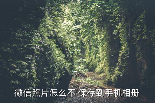 微信照片怎么不 保存到手机相册