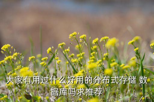 大家有用过什么好用的分布式存储 数据库吗求推荐