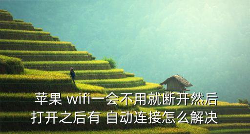  苹果 wifi一会不用就断开然后打开之后有 自动连接怎么解决