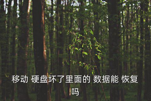移动 硬盘坏了里面的 数据能 恢复吗