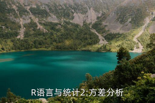 r做数据分析,怎么进行数据分析