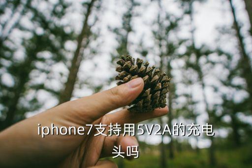 苹果7充电器数据线图片,苹果14promax有充电器和数据线吗