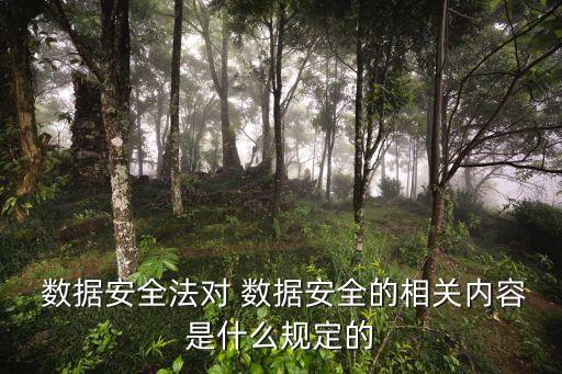  数据安全法对 数据安全的相关内容是什么规定的