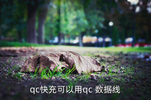 快冲数据线,oppo快充数据线
