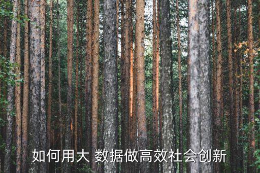 如何用大 数据做高效社会创新