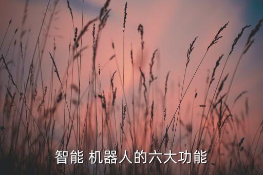 智能 机器人的六大功能