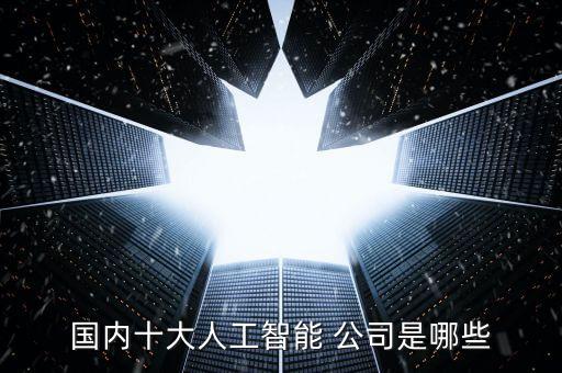 国内十大人工智能 公司是哪些