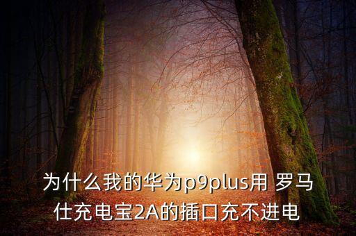 为什么我的华为p9plus用 罗马仕充电宝2a的插口充不进电