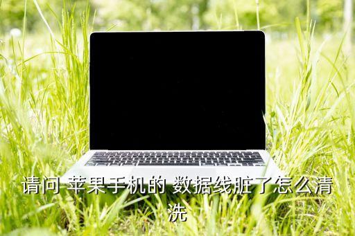 苹果数据线氧化怎么办