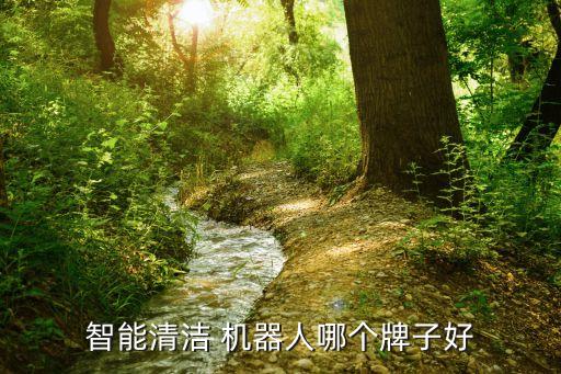 irobot扫地机器人