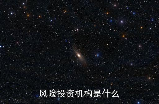 风险投资机构是什么