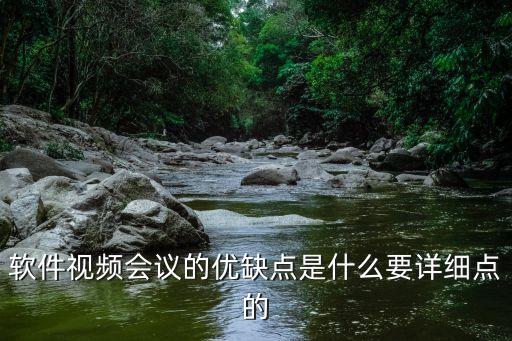软件视频会议的优缺点是什么要详细点的