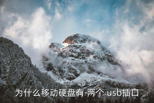 一个数据线两个usb接口