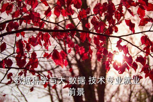  数据科学与大 数据 技术专业就业前景