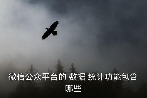 微信公众平台的 数据 统计功能包含哪些
