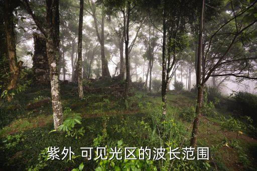紫外 可见光区的波长范围