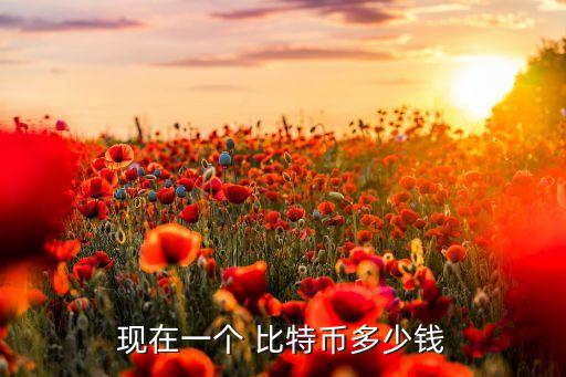 现在一个 比特币多少钱