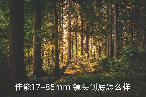 17 85镜头数据,mmd镜头数据