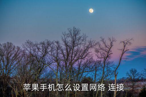 苹果数据连接在哪