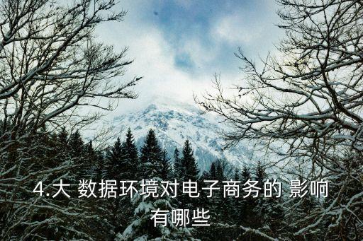 4.大 数据环境对电子商务的 影响有哪些