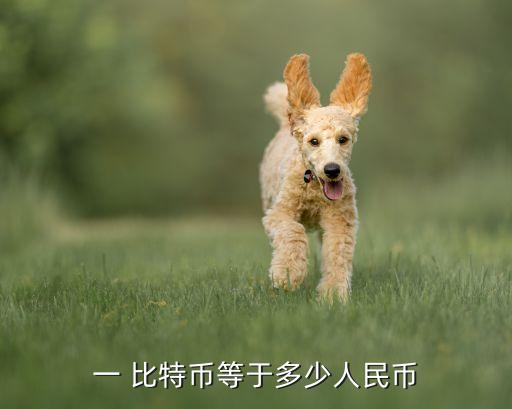 比特币价格数据源,美元比特币最新价格