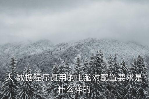 大数据 配什么笔记本,研究生跑数据用什么笔记本