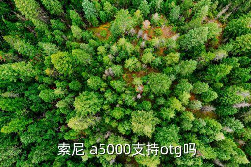  索尼 a5000支持otg吗