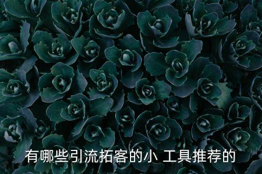 有哪些引流拓客的小 工具推荐的