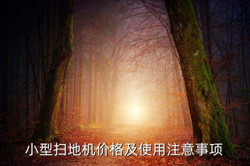 小型扫地机价格及使用注意事项