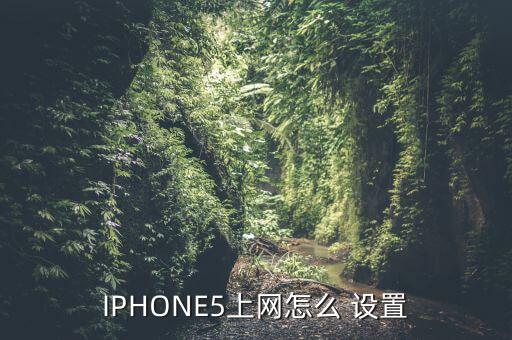 iphone5上网怎么 设置