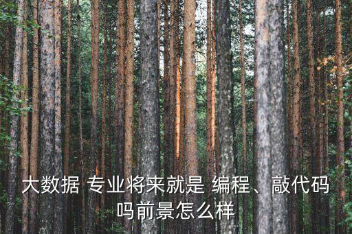 大数据 专业将来就是 编程、敲代码吗前景怎么样