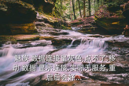  魅族 数据连接呈灰色,点不了,移动 数据 显示连接,实际无服务,重启后会好...