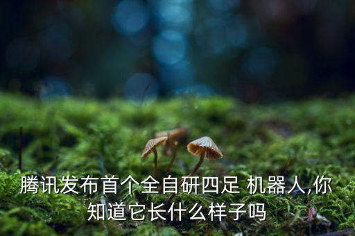 腾讯发布首个全自研四足 机器人,你知道它长什么样子吗
