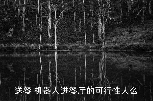 送餐 机器人进餐厅的可行性大么
