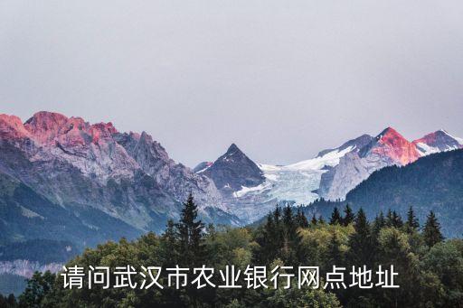 请问武汉市农业银行网点地址