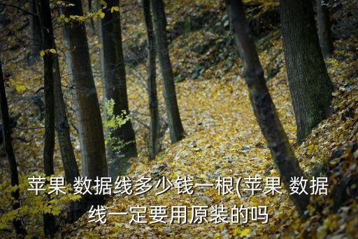 苹果 数据线多少钱一根(苹果 数据线一定要用原装的吗
