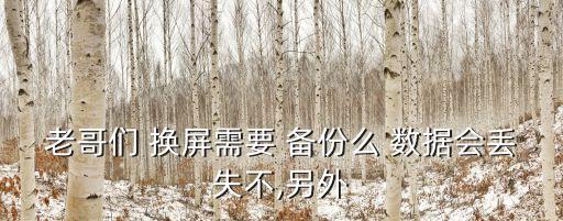 老哥们 换屏需要 备份么 数据会丢失不,另外
