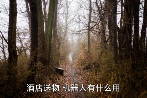 酒店送物 机器人有什么用