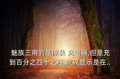 魅族数据线只能充电,魅族17可以用5a数据线充电吗