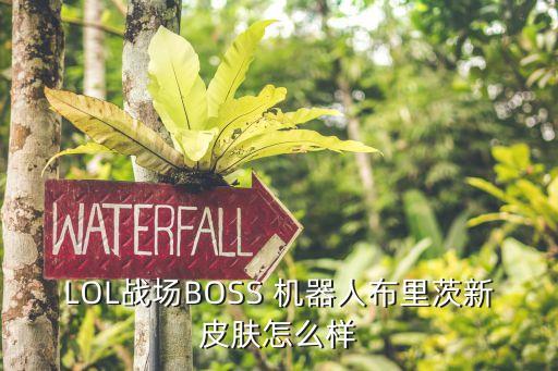 lol战场boss 机器人布里茨新皮肤怎么样