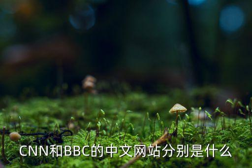 cnn和bbc的中文网站分别是什么