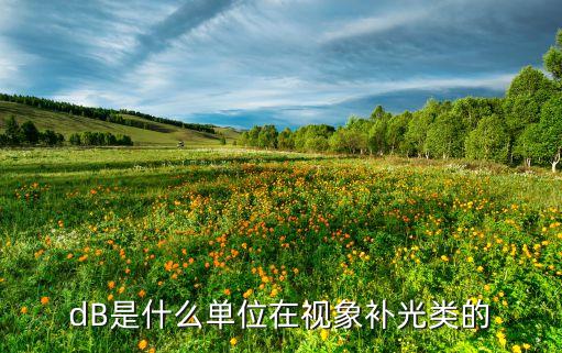 db是什么单位在视象补光类的