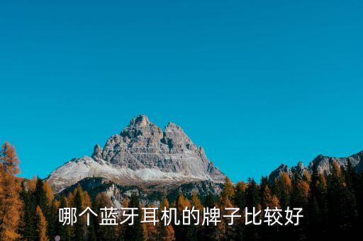 哪个蓝牙耳机的牌子比较好